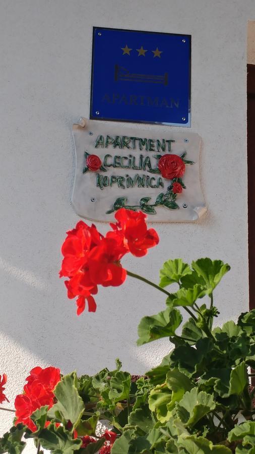 Apartment Cecilia Koprivnica Ngoại thất bức ảnh